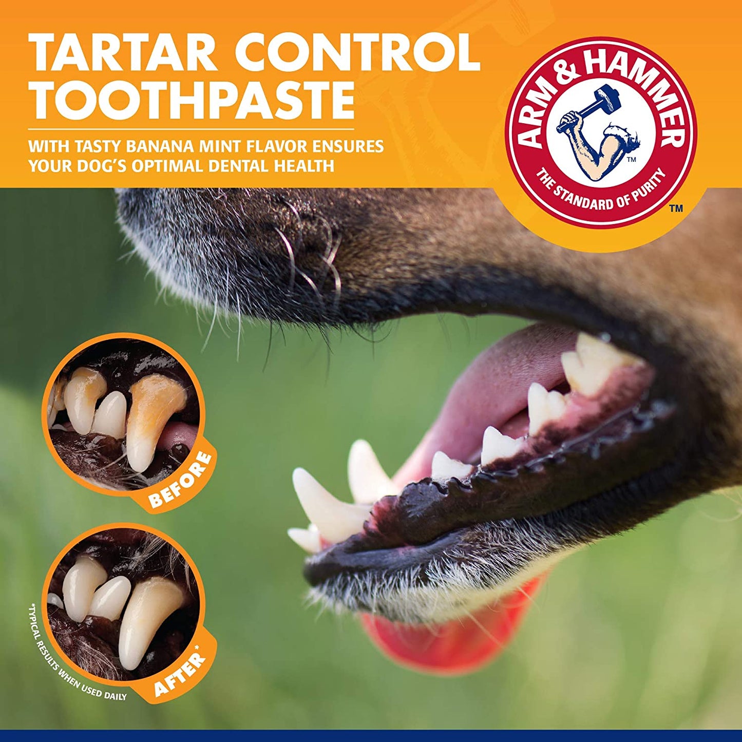 for Pets Tartar Control Kit for Dogs-Contains Toothpaste, Dog Toothbrush & Fingerbrush - Dog Teeth Cleaning Kit, Dog Toothpaste Kit from Arm and Hammer, Dog Dental Care, Pet Toothbrush